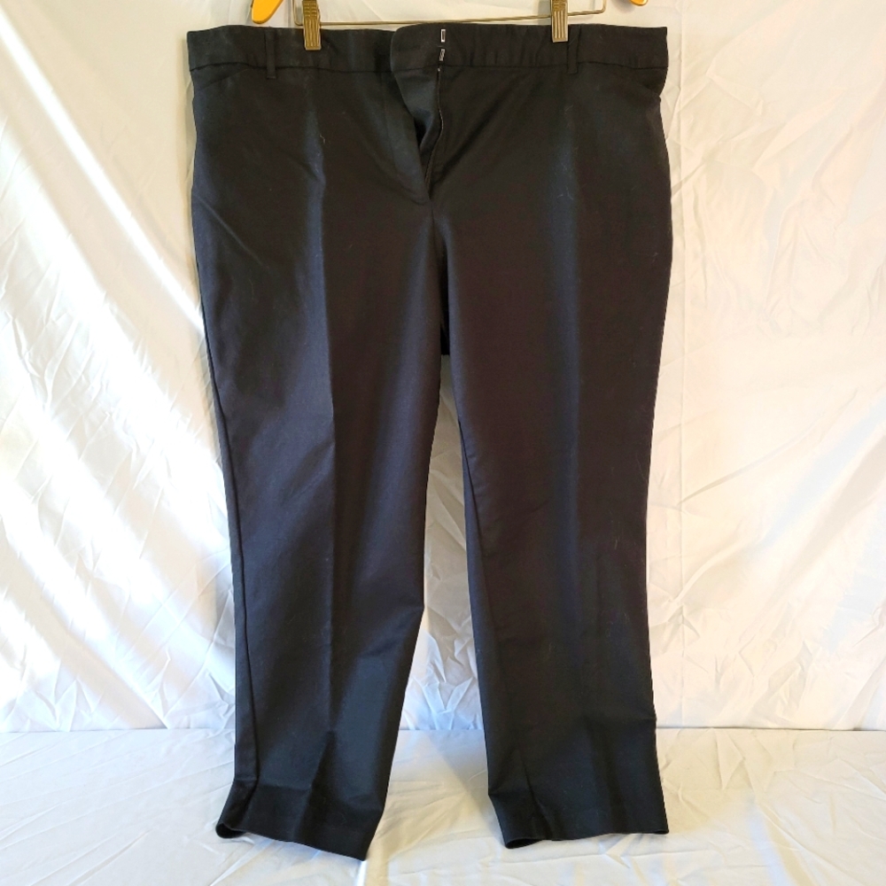 Dress Pants